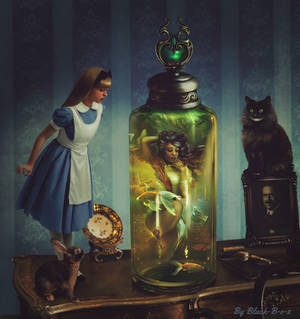 Alice's Adventures by Black-B-o-x
