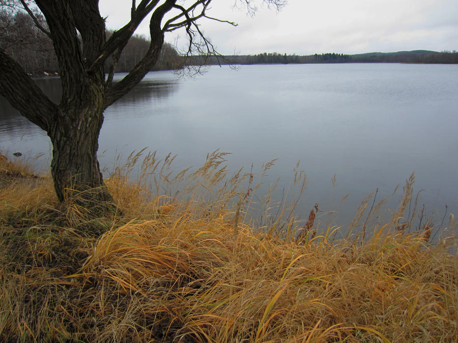 Lake by Black-B-o-x Lake by Black-B-o-x