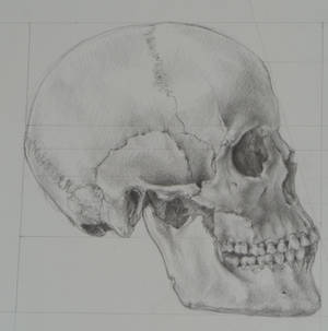 skull07