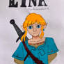 Link - Zelda