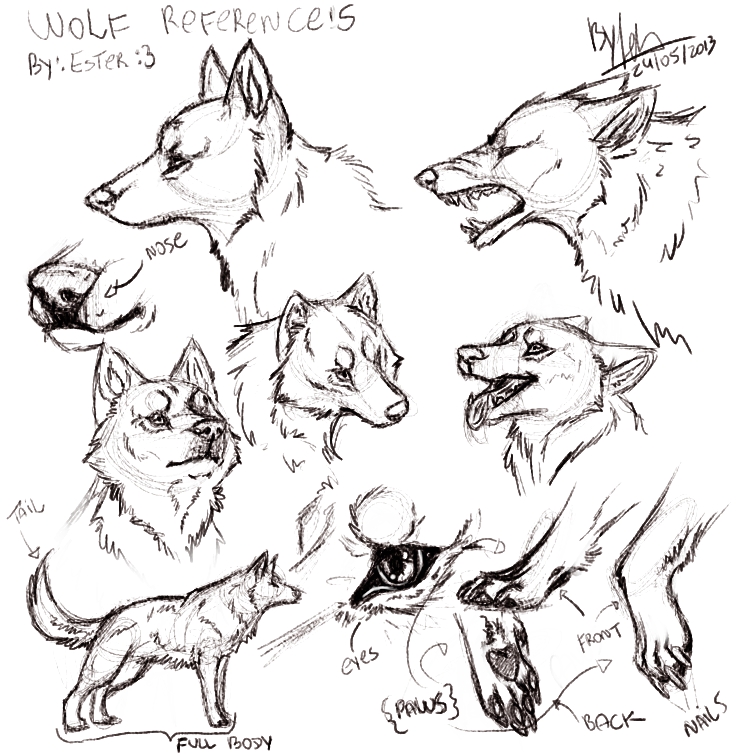 Wolf Conservation Image