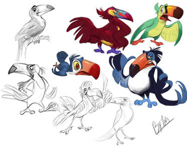 Toucan Designs