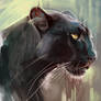 Panther Painting Study