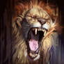 Angry Lion