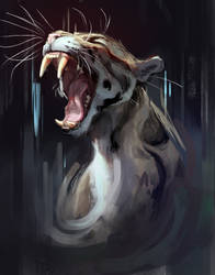 Clouded Leopard