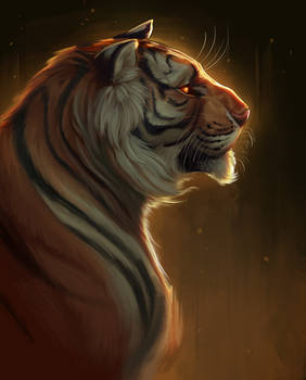 Tiger - painting warm up