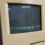 Apple IIe Emulation card working