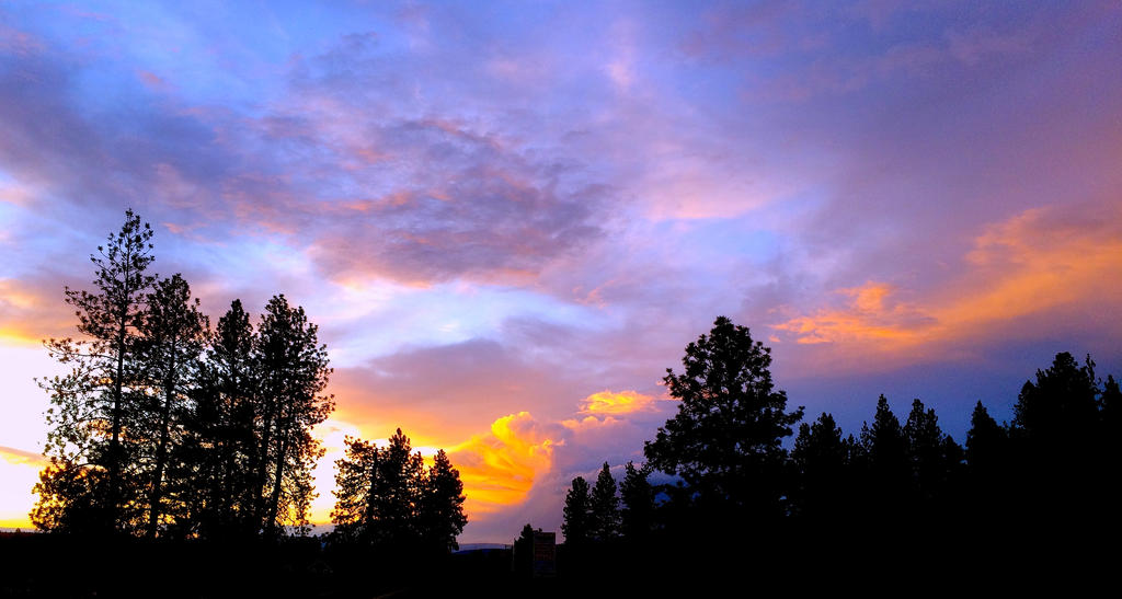 'Lavender Dusk'