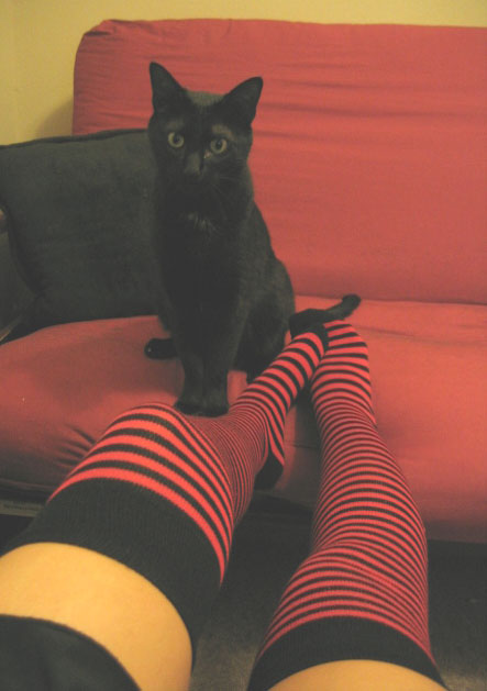 puss n' socks