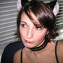 cat ears