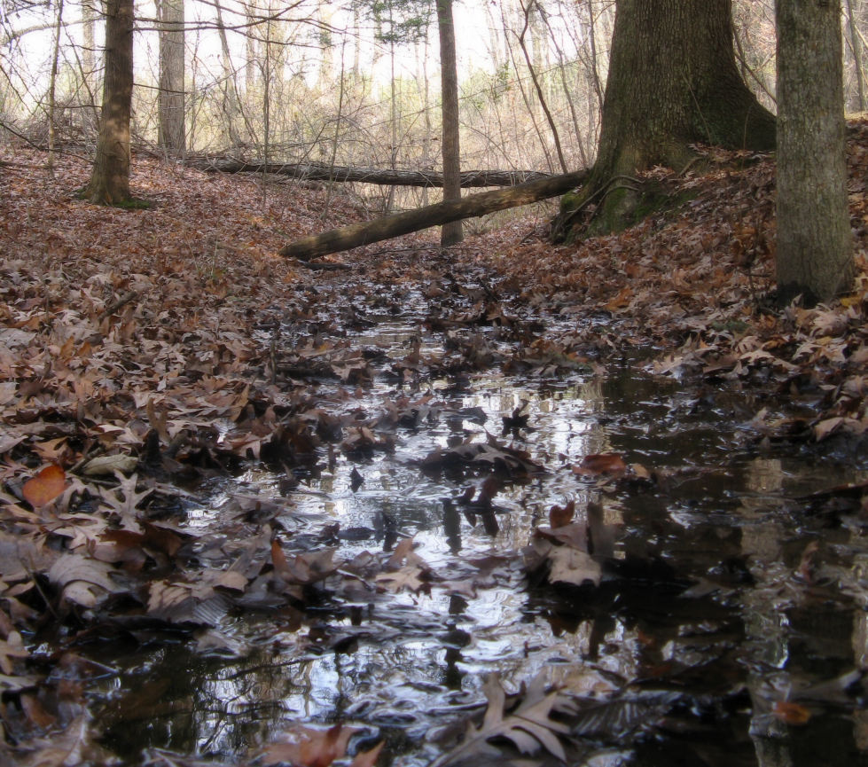 oak openings three