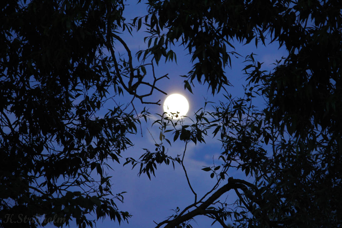 Moonlight Shadow Example Moonlight Shadow by pluto96 on DeviantArt