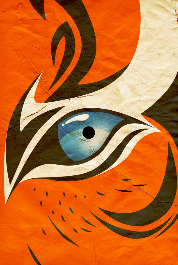 Tiger's Eye Illustration