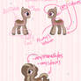 Faerie Circle Ponies