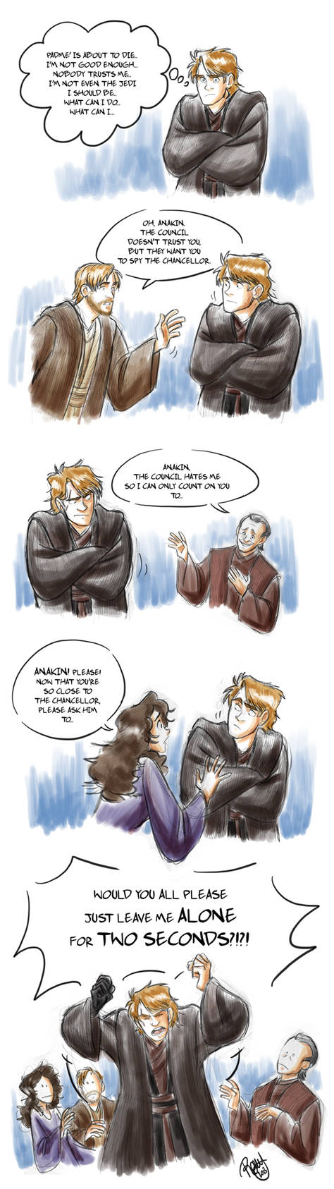 Star Wars - A Skywalker's Life by Renny08