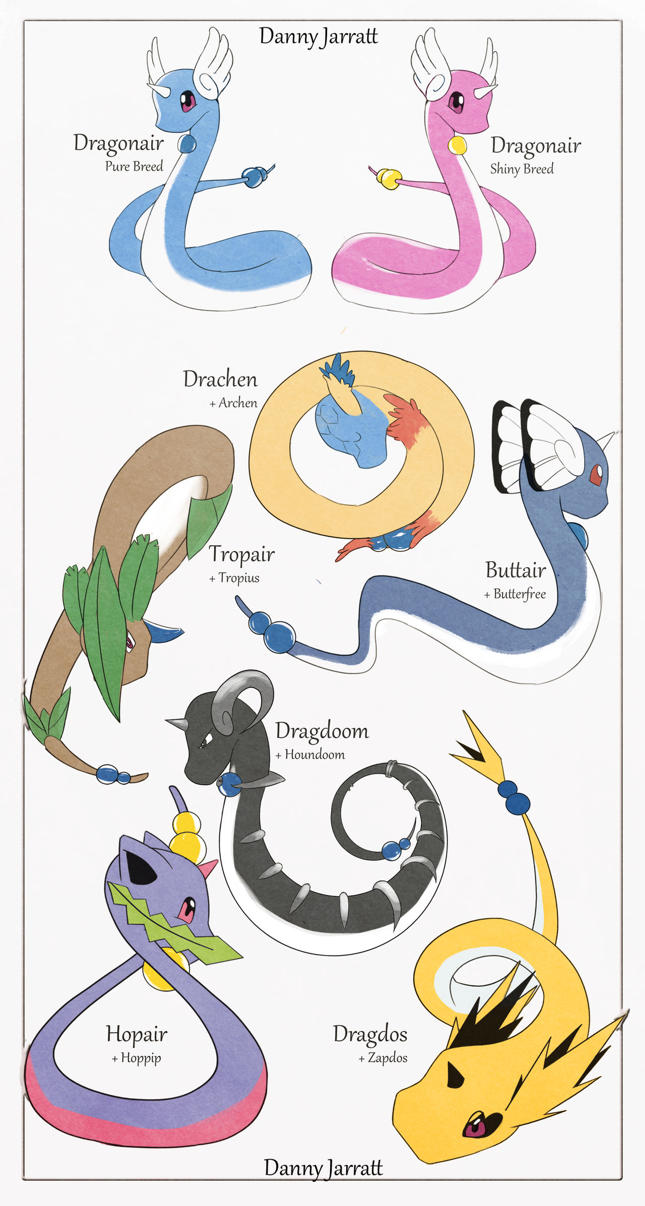 Dragonair Breed Varieties