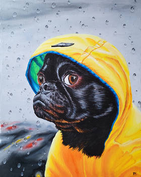 Raincoat Pug