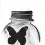 Butterfly in a jar