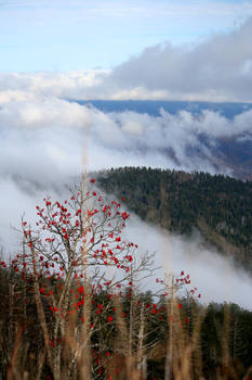 clouds over the ridge p2