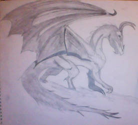 Mi primer intento de Dragon