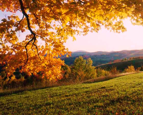 autumn in sinaia