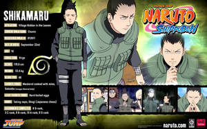 shikamaru