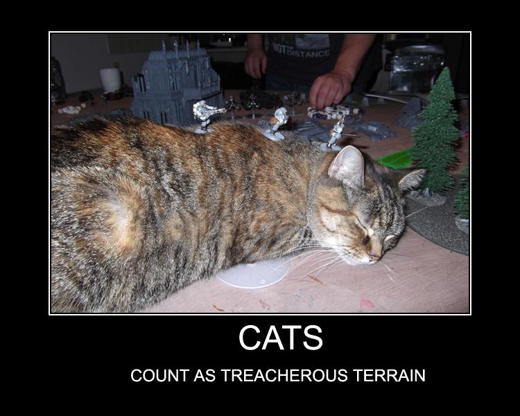 ,Cat, Humor, Warhammer 40,00