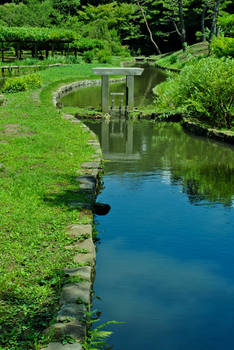 Japanese garden