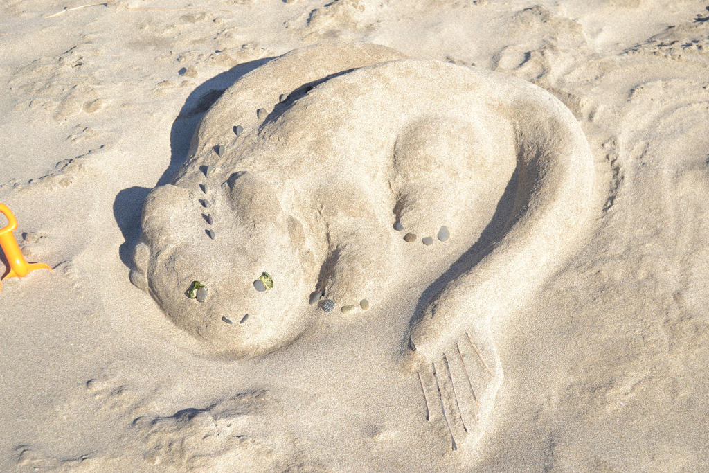 Sand Toothless by MysteriousHat21 on DeviantArt