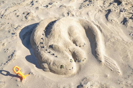 Sand Toothless 2