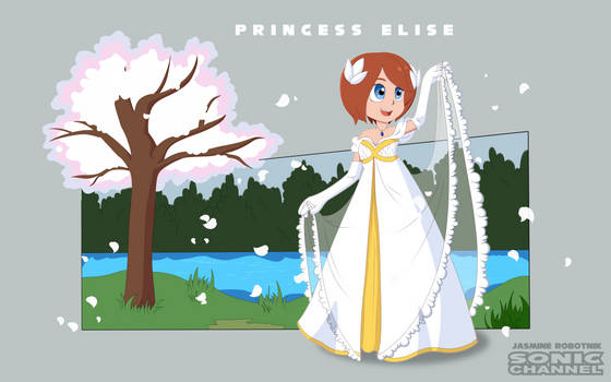 Sonic Channel:  Princess elise