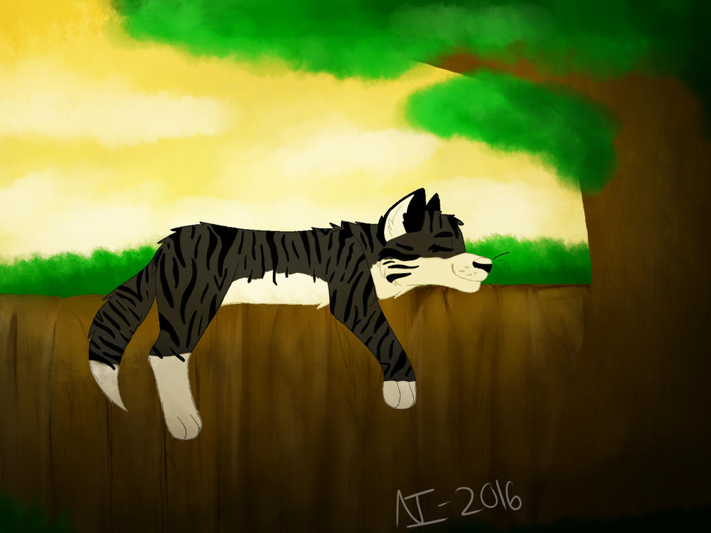 Cat Nap by BatBooty on DeviantArt