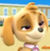 Paw Patrol Skye's Crush Emoticon Icon