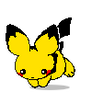 Run Pichu run