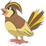 My Pidgeotto - Kurczak