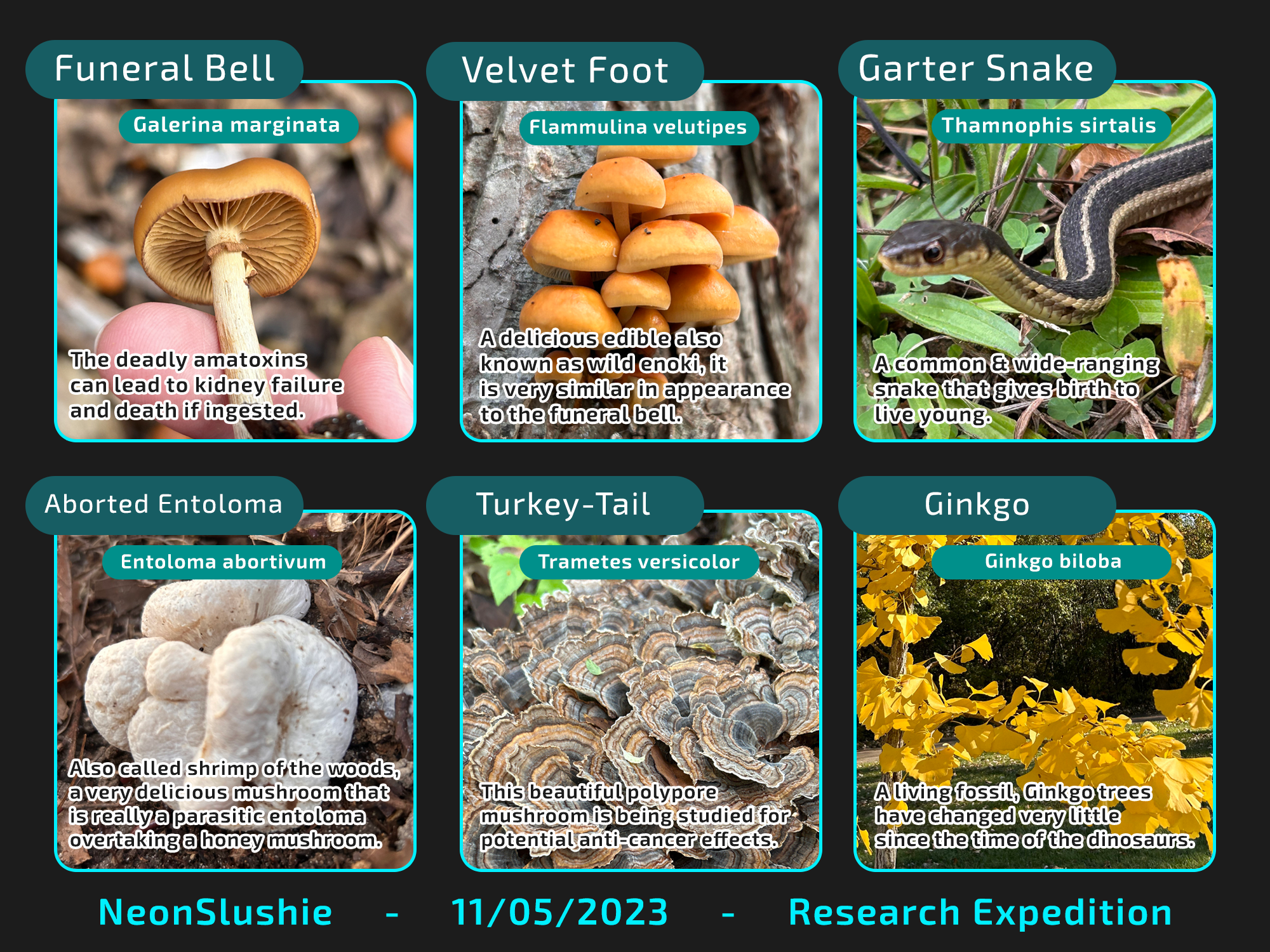 dj2vvot-c9d1bdc4-ac54-4599-93ab-c50d7c37505b.png?token=eyJ0eXAiOiJKV1QiLCJhbGciOiJIUzI1NiJ9.eyJzdWIiOiJ1cm46YXBwOjdlMGQxODg5ODIyNjQzNzNhNWYwZDQxNWVhMGQyNmUwIiwiaXNzIjoidXJuOmFwcDo3ZTBkMTg4OTgyMjY0MzczYTVmMGQ0MTVlYTBkMjZlMCIsIm9iaiI6W1t7InBhdGgiOiJcL2ZcLzFiOGJkODc4LWY4OWYtNDRiMC1iNGY0LTQzYTVhMmYwNDMxMVwvZGoydnZvdC1jOWQxYmRjNC1hYzU0LTQ1OTktOTNhYi1jNTBkN2MzNzUwNWIucG5nIn1dXSwiYXVkIjpbInVybjpzZXJ2aWNlOmZpbGUuZG93bmxvYWQiXX0.jJj2nzJxk3IDIbuGB38Nlmsa4_M7v53uVhiJ3kNG7P0