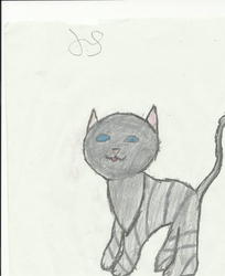 JayFeather