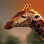 giraffe painting