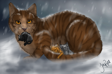 Leafpool`s Kitties