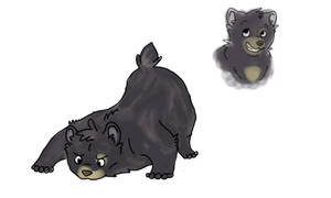 bear doodles