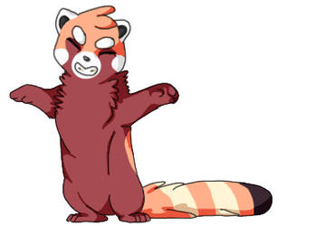 red panda swaggie
