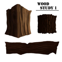 Wood Study - 01