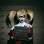 Harley Quinn Cosplay