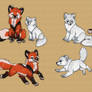 Fox Sketches 2