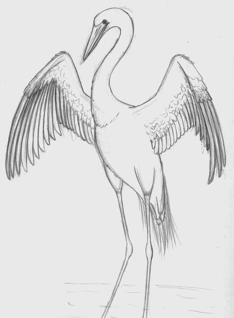 Crane Tattoo by xxFEExx on DeviantArt