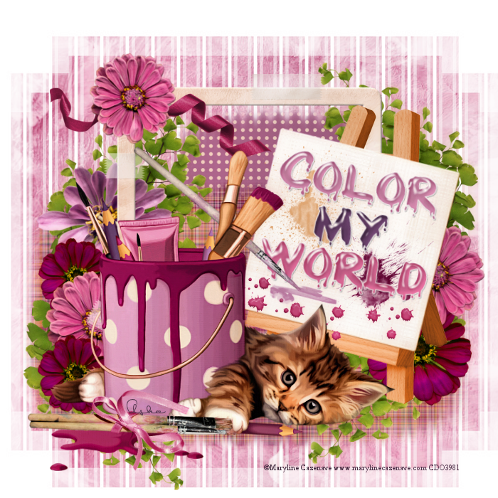 Color My World