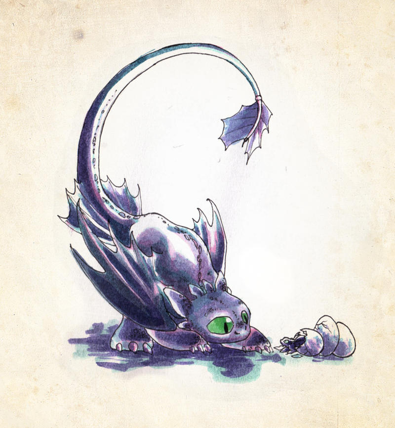 Toothless 5 by sphodromantis on DeviantArt