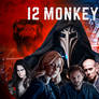 12 Monkeys