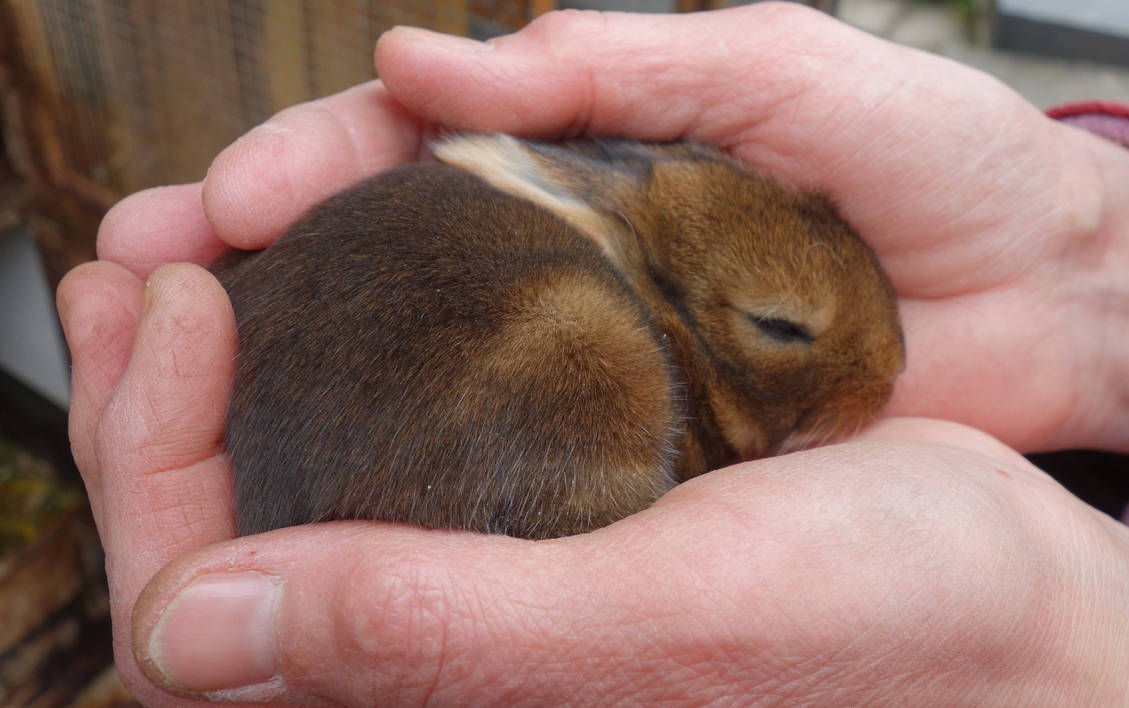 One Handful by zahlenfreak on DeviantArt