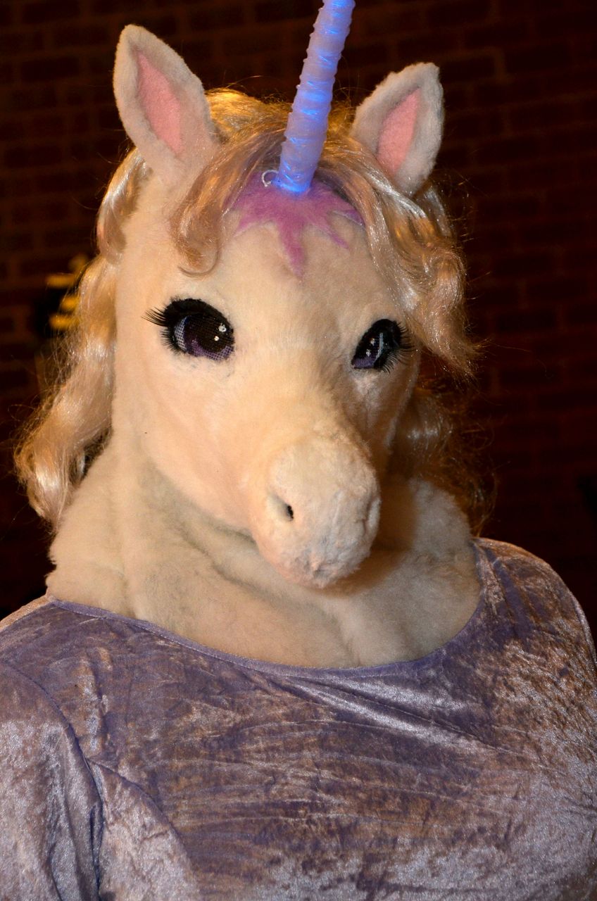 Last Unicorn Costume